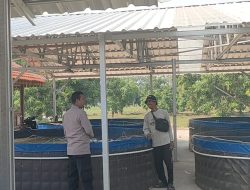 Polres Gresik Dorong Ketahanan Pangan Melalui Pengecekan Budidaya Ikan Lele