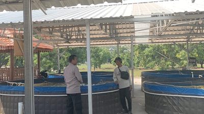 Polres Gresik Dorong Ketahanan Pangan Melalui Pengecekan Budidaya Ikan Lele
