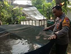 Polres Gresik Cek Budidaya Ikan Lele Dukung Ketahanan Pangan di Desa Petiken