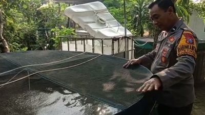 Polres Gresik Cek Budidaya Ikan Lele Dukung Ketahanan Pangan di Desa Petiken