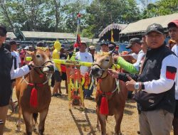 Partai PSI Ikut Berpartisipasi dan Meriahkan Kerapan Sapi Piala AHY